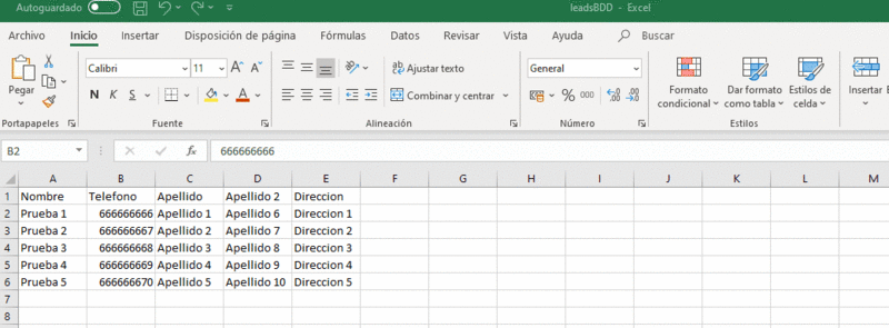 Archivo:Formato numero leads excel.gif