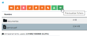 Lanzador documentos previsualizar fichero boton.png
